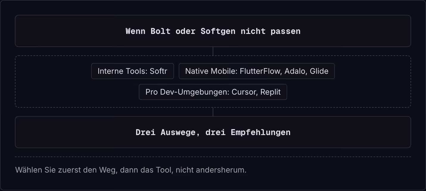 Wenn Bolt oder Softgen nicht passen Interne Tools: Softr Native Mobile: FlutterFlow, Adalo, Glide Pro Dev-Umgebungen: Cursor, Replit Drei Auswege, drei Empfehlungen Wählen Sie zuerst den Weg, dann das Tool, nicht andersherum.